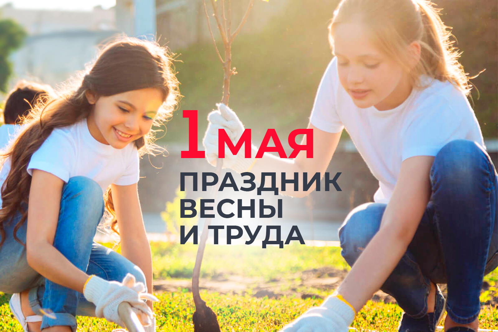 Будет на майские праздники. Майские праздники. 1 Мая день труда. Дорогие друзья с 1 мая. 1 Мая дети